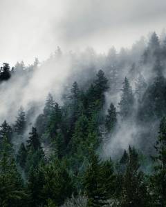 image-slider-with-thumbnail6.jpeg
